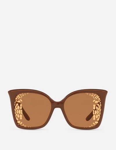 Dolce & Gabbana Sunglasses Kate&You-ID12712