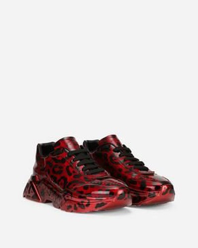 Dolce & Gabbana - Trainers - for MEN online on Kate&You - CS1791AQ726HR13N K&Y15619