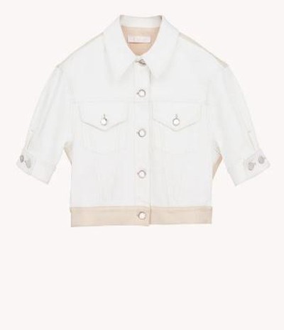 レディース - Chloé - ブラウス | Kate&You - 海外限定モデルを購入 - CHC21ADV11155107 K&Y12384