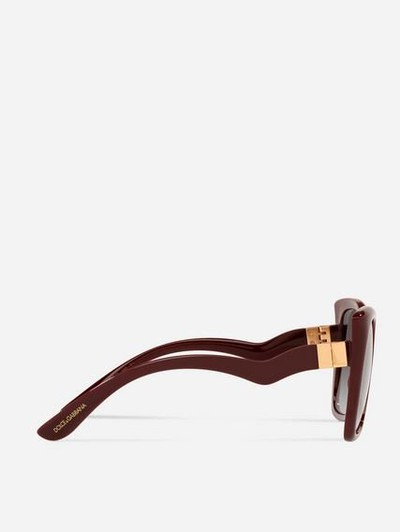 Dolce & Gabbana - Sunglasses - Gattopardo for WOMEN online on Kate&You - VG6168VN58G9V000 K&Y12709