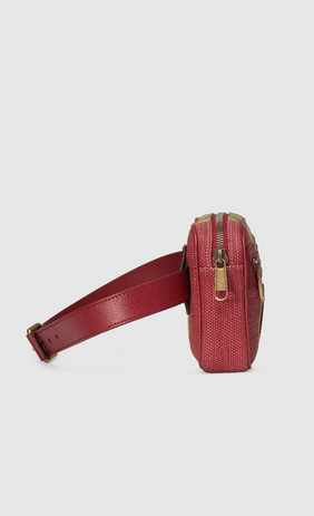 Gucci - Mini Bags - Sac ceinture en toile à rayures Baiadera for WOMEN online on Kate&You - 625895 2CSAT 8946 K&Y8399