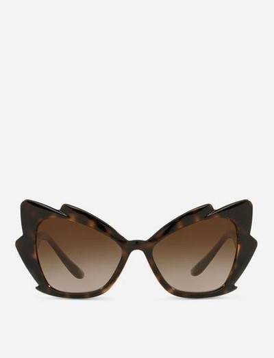 Dolce & Gabbana Sunglasses Gattopardo  Kate&You-ID12704