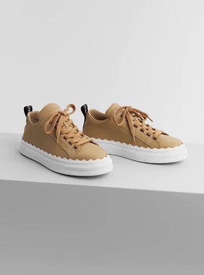 Chloé - Trainers - for WOMEN online on Kate&You - CHC19S1084226C K&Y11950