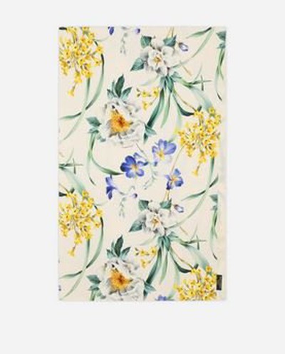 Dolce & Gabbana - Scarves - for WOMEN online on Kate&You - IS116WGDAZSS9000 K&Y15915