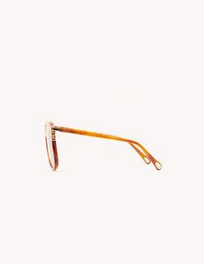 Chloé - Lunettes de soleil pour FEMME online sur Kate&You - CHC22SEK0104243 K&Y15849
