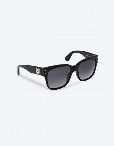 Moschino - Sunglasses - for WOMEN online on Kate&You - MOS008S807569O K&Y13619