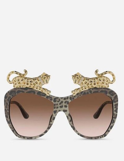 Dolce & Gabbana Sunglasses Kate&You-ID12710