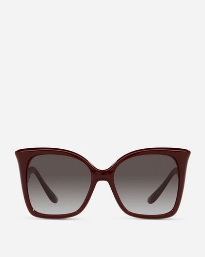 Dolce & Gabbana Sunglasses Gattopardo  Kate&You-ID12709