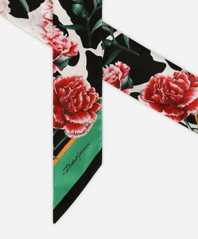 Dolce & Gabbana - Scarves - for WOMEN online on Kate&You - FS215AGDAQ3HD3SL K&Y15926
