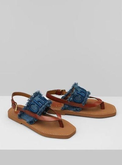 Chloé - Sandals - for WOMEN online on Kate&You - CHC21A327K1477 K&Y11966
