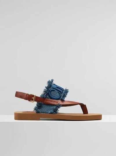 レディース - Chloé - サンダル | Kate&You - 海外限定モデルを購入 - CHC21A327K1477 K&Y11966