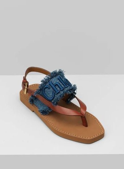Chloé - Sandals - for WOMEN online on Kate&You - CHC21A327K1477 K&Y11966
