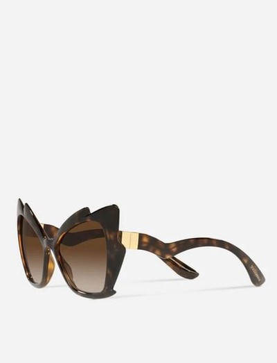 Dolce & Gabbana - Sunglasses - Gattopardo for WOMEN online on Kate&You - VG6166VN2139V000 K&Y12704
