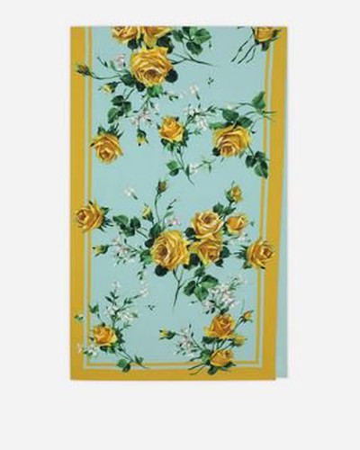 Dolce & Gabbana - Scarves - for WOMEN online on Kate&You - IS116WGDAZLS9000 K&Y15916