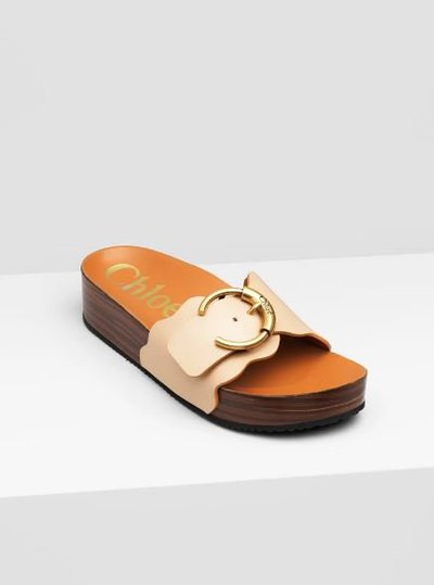 Chloé - Sandals - for WOMEN online on Kate&You - CHC21U42636275 K&Y11970