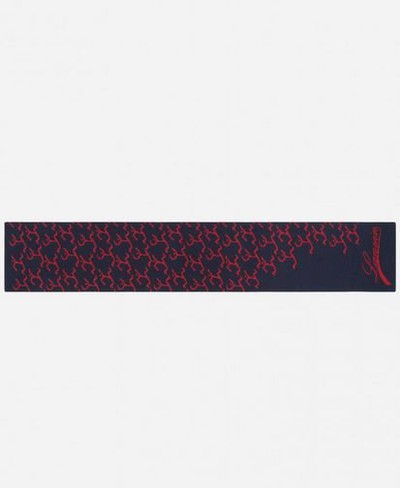 Lanvin - Écharpes pour HOMME online sur Kate&You - RMAC-5800ECH-H2129 K&Y13891