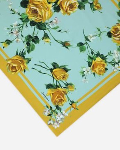 Dolce & Gabbana - Scarves - for WOMEN online on Kate&You - IS116WGDAZLS9000 K&Y15916