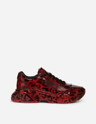 Dolce & Gabbana Trainers Kate&You-ID15619