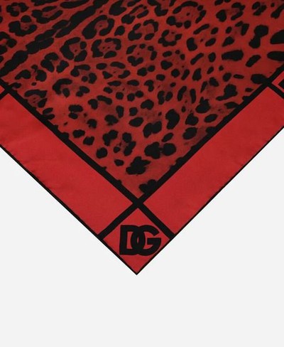 Dolce & Gabbana - Scarves - for WOMEN online on Kate&You - FN092RG0TGKHR13N K&Y12725