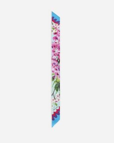 Dolce & Gabbana - Scarves - for WOMEN online on Kate&You - FS215AGDAHDHC3JB K&Y15936