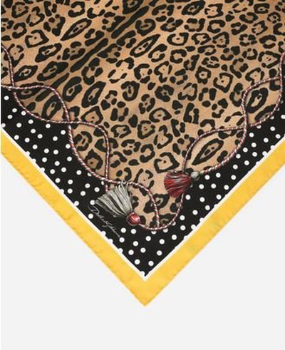 Dolce & Gabbana - Scarves - for WOMEN online on Kate&You - IF677WG7BPXHYNBM K&Y15952